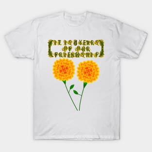 It Is 5 Years Of Our Friendship T-Shirt